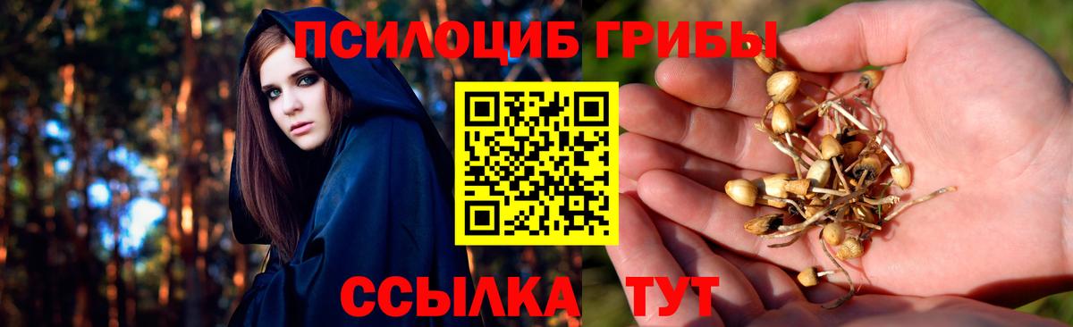 Псилоцибиновые грибы Magic Shrooms  Вход с VPN  где можно купить   Губкинский 