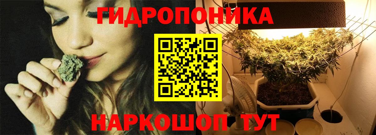 Каннабис сатива  Бошки марихуана семена  Губкинский  МАРИХУАНА семена  Вход с VPN 